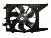 Radiator Fan Radiator Fan:60 01 550 562